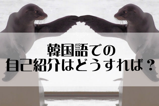 韓国語で自己紹介するための例文とちょっとだけ気を付けること